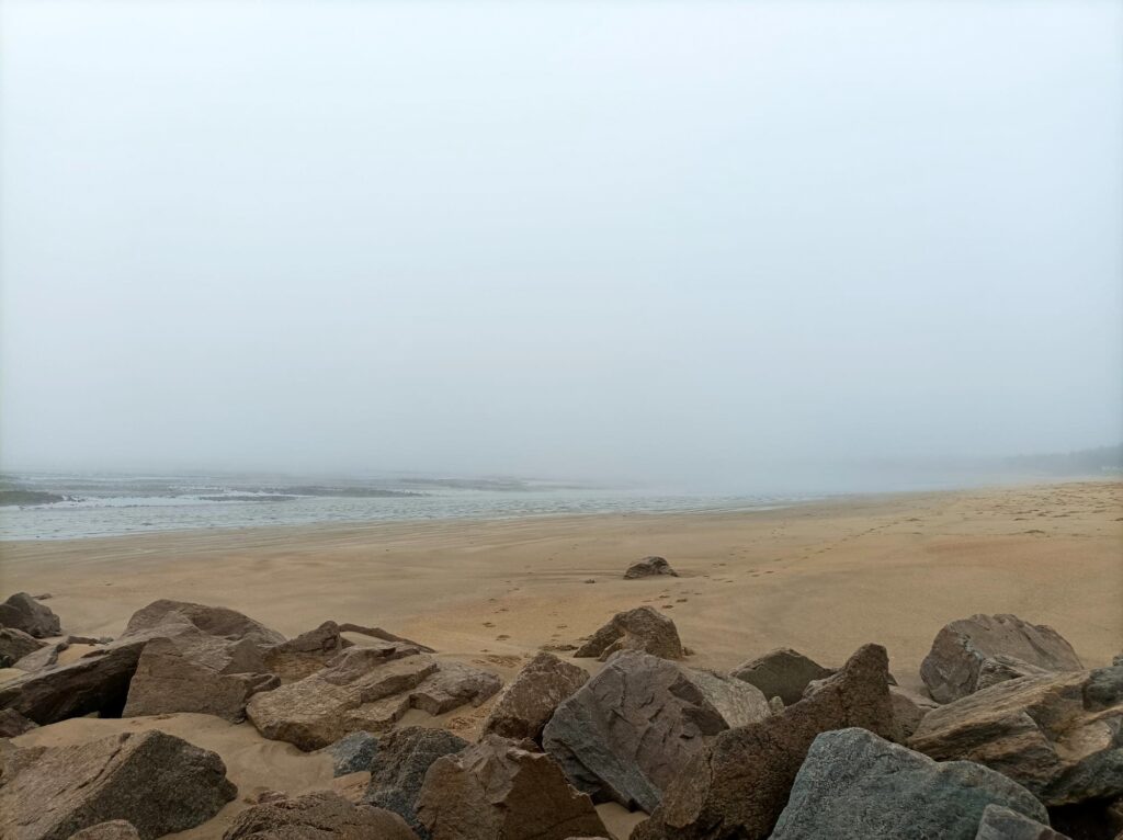 vue de plage sous le brouillard